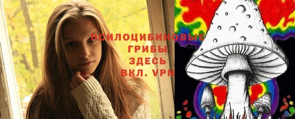 крисы Горно-Алтайск