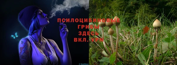 трава Горняк